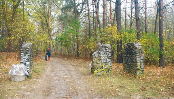 Chcą przejąć las