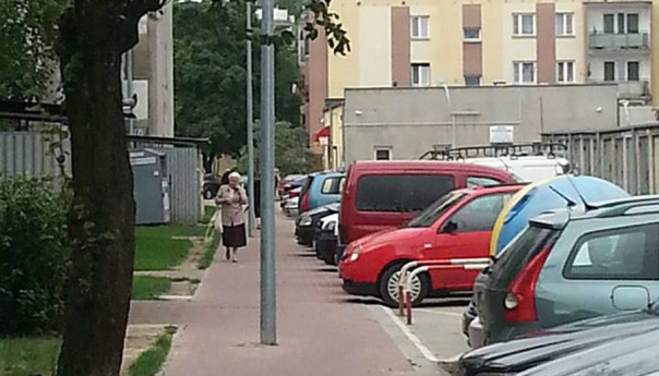 Łup w słup!