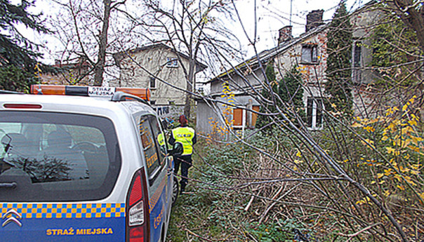 Mandaty dla trucicieli