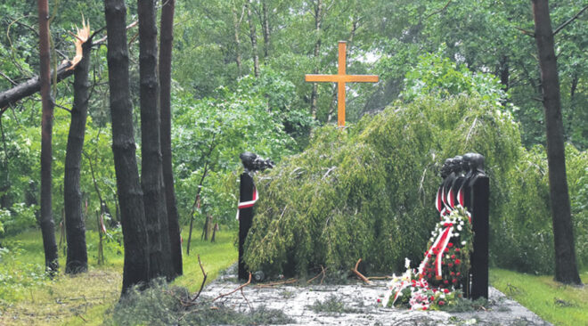 Brzoza zniszczyła pomnik