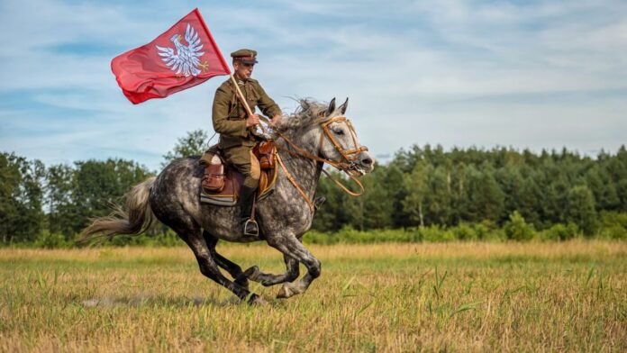 Kultura i architektura_II miejsce_Marta Baranowska_Galopem przez Mazowsze inet