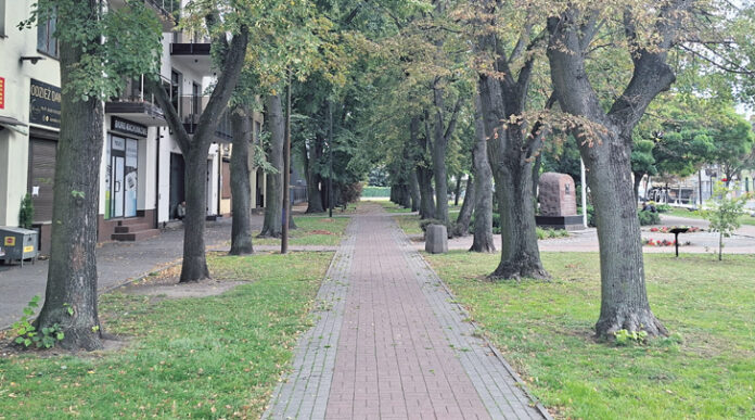 38_26 park wolnosci